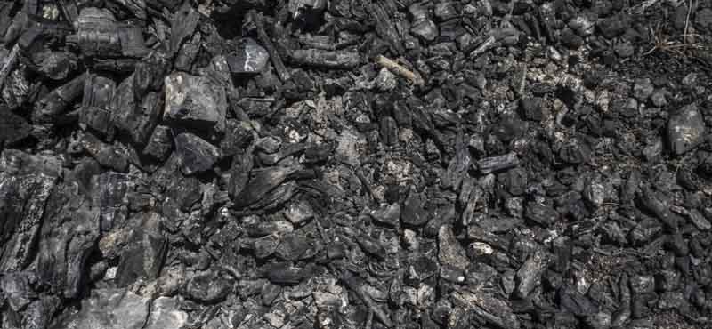 biochar information