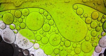 algae biofuel