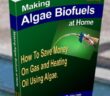 Algae Biofuels