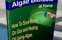 Algae Biofuels