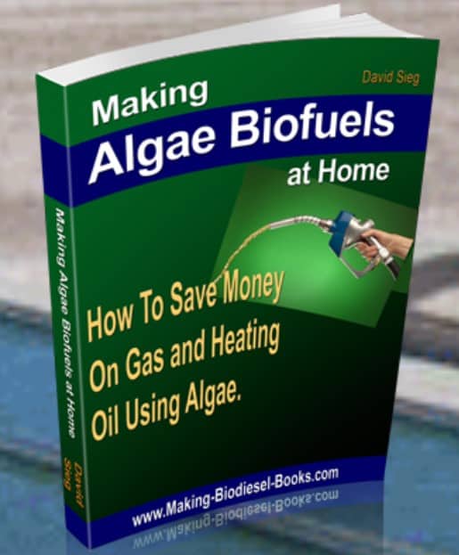 Algae Biofuels
